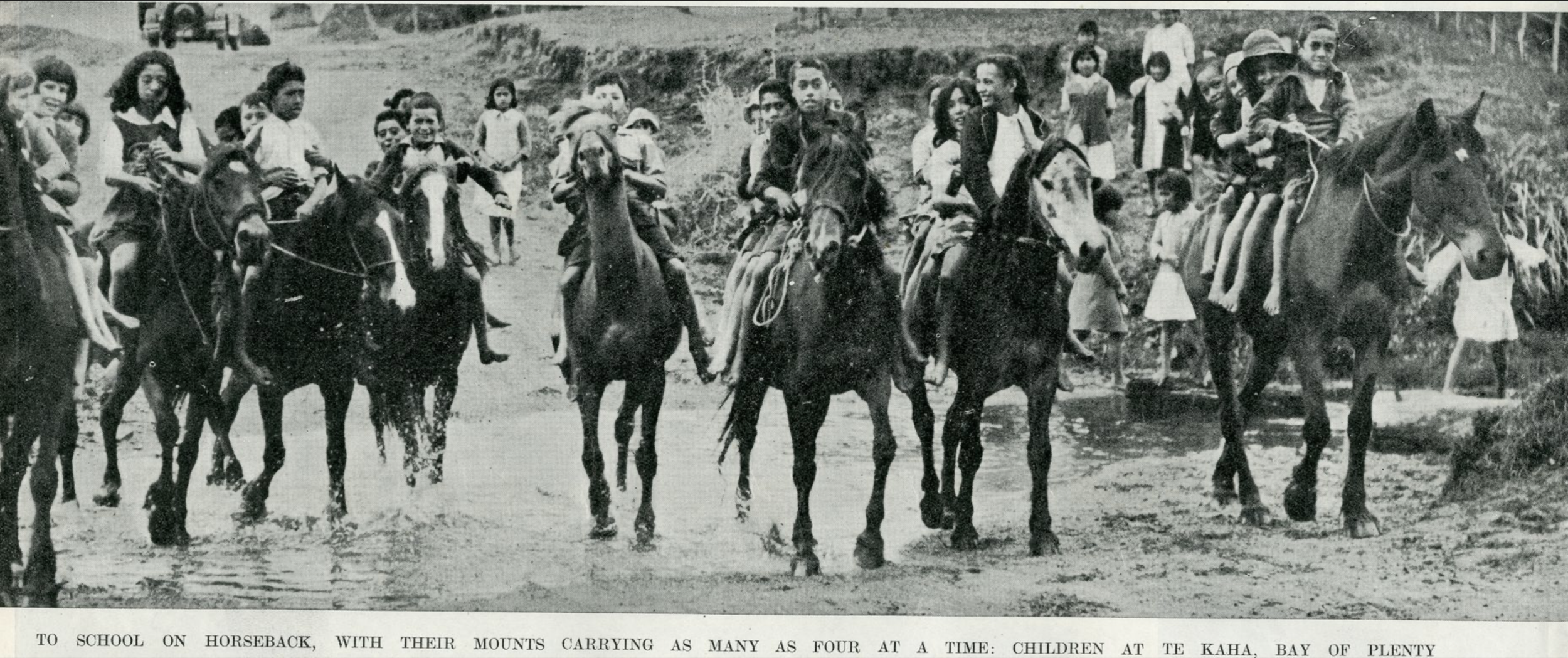 Screenshot 2024-12-09 at 1.56.14 PM.png