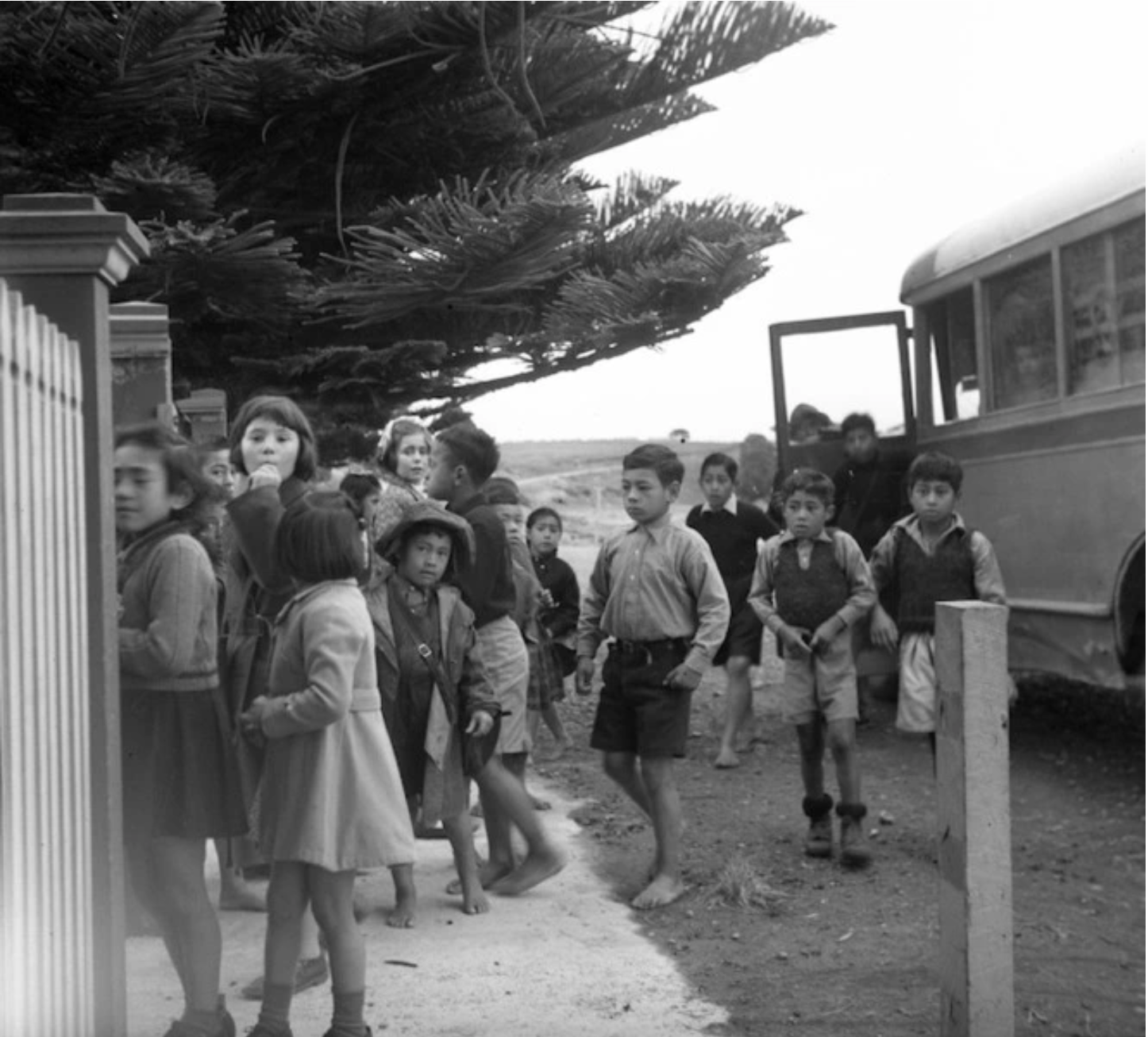 Screenshot 2024-12-09 at 1.51.53 PM.png