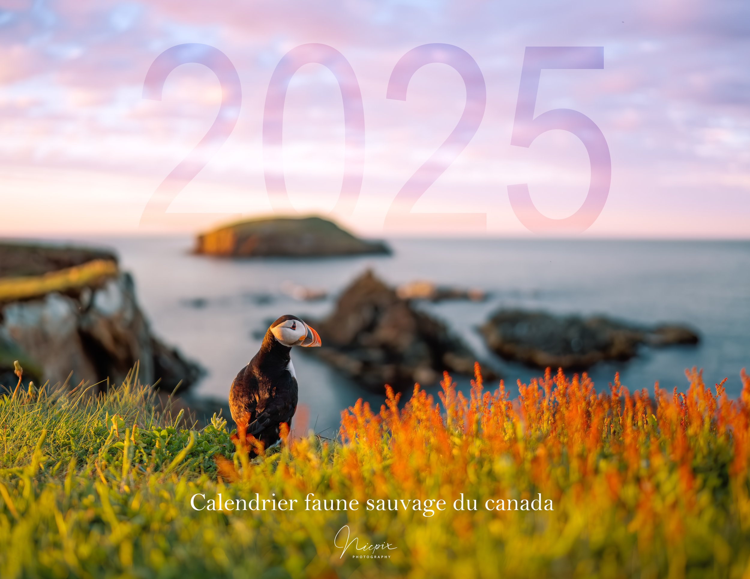 Calendrier faune sauvage du canada Nicpix 2025