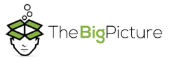 The Big Picture Logo
