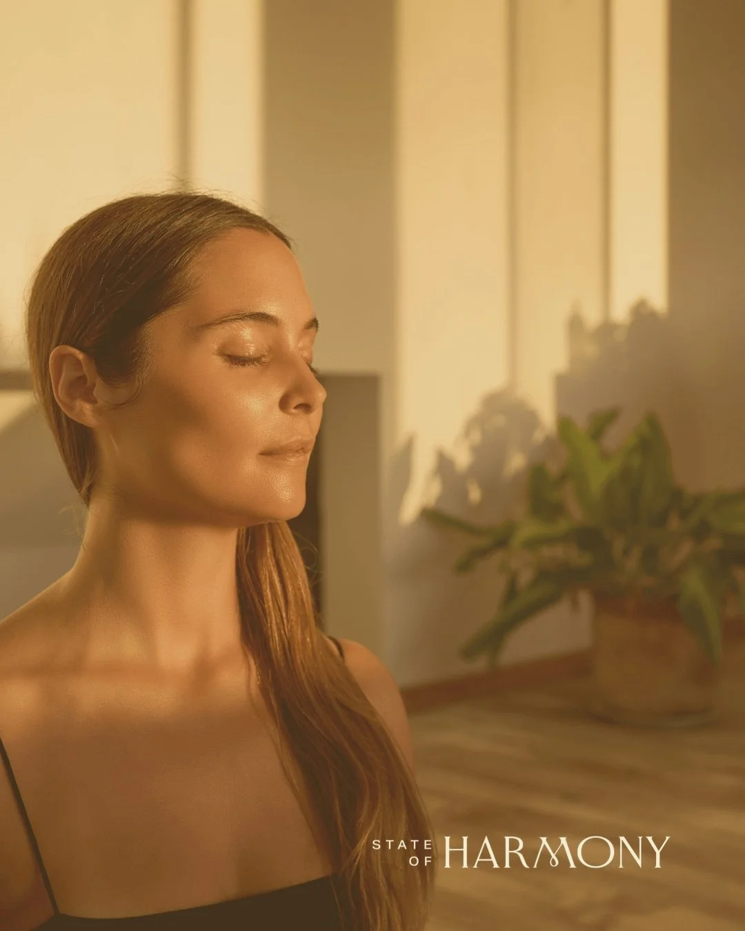 Curious about how meditation transforms your emotional landscape? It's more than a moment's peace; it's a gateway to lifelong calm. At State of Harmony, we delve into mindfulness techniques that cultivate emotional regulation. Helping to handle stres