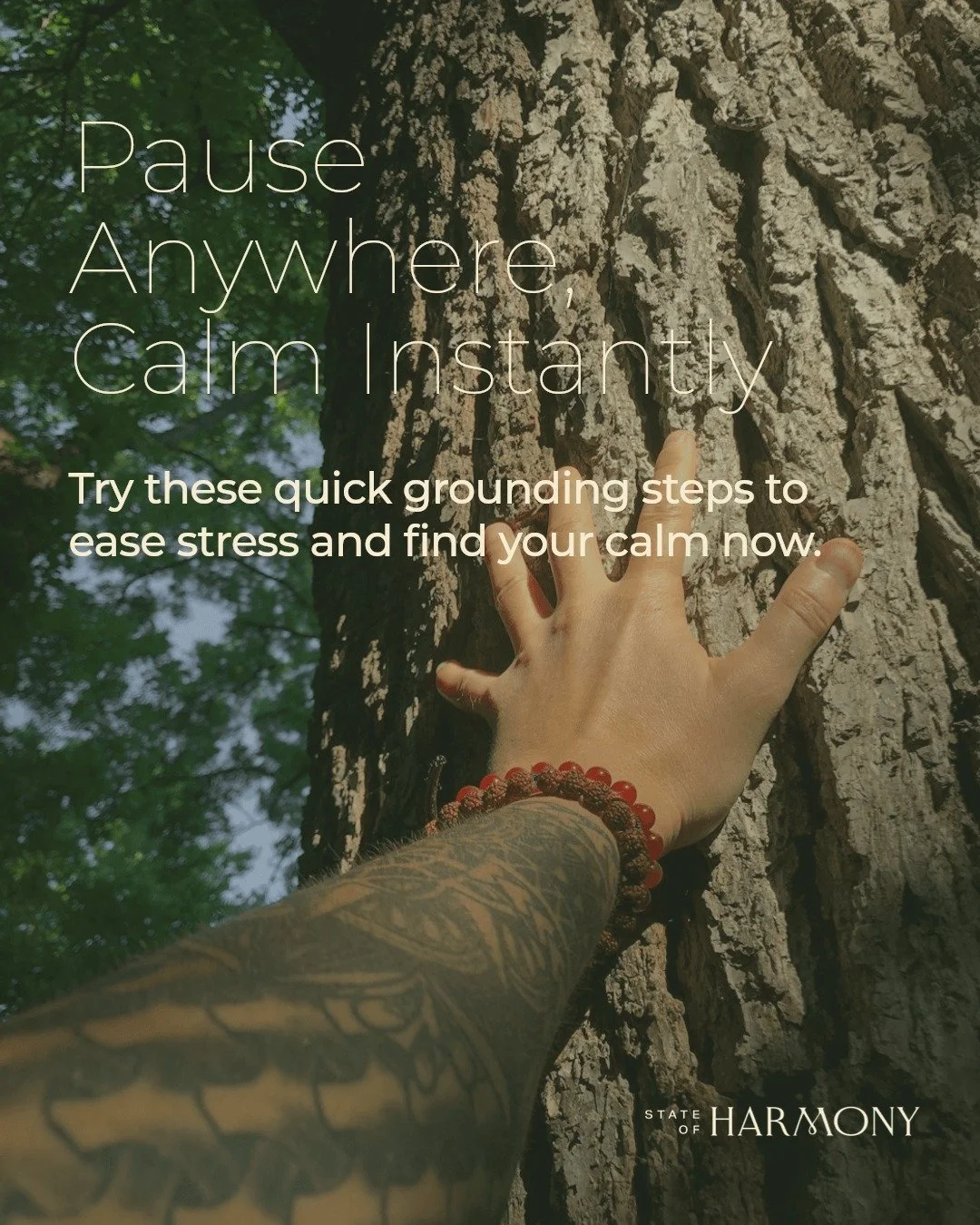 Feeling overwhelmed by your busy day? A few moments of grounding can bring you back to centre, anytime, anywhere.

When life moves fast, it's easy to lose touch with the present. Quick grounding exercises help you pause, reset, and reconnect with you