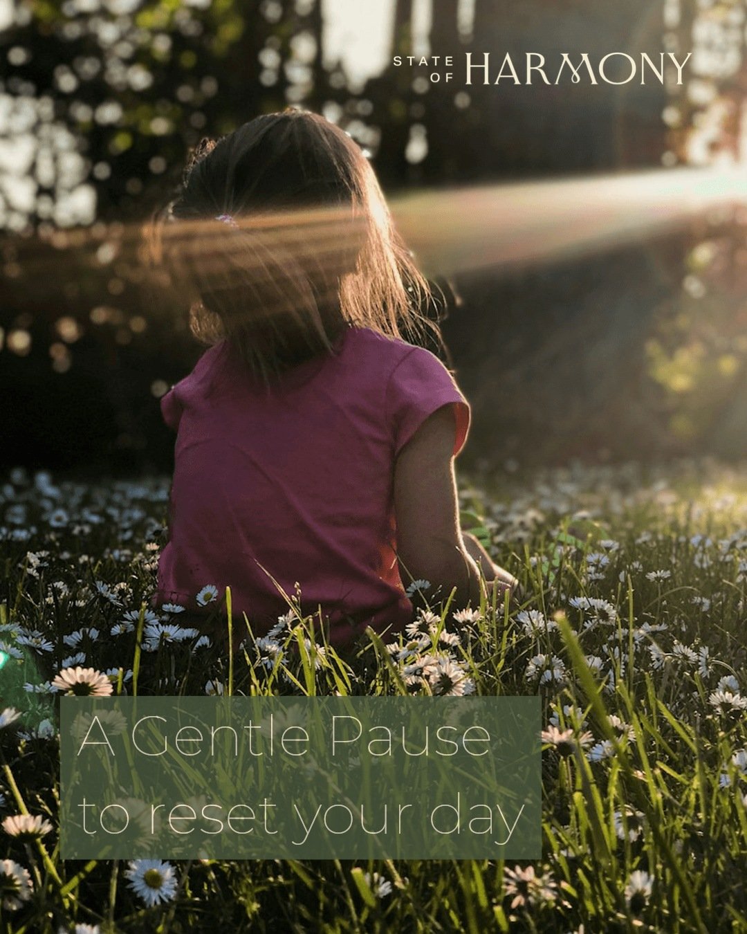 Feeling overwhelmed?
Try this simple mindful pause.

Place a hand on your belly.
Breathe slowly, deeply, for one full minute.
Notice your body soften.

Feel your shoulders drop.
Relax your jaw.
Ground yourself with your senses:
5 things you see
4 thi