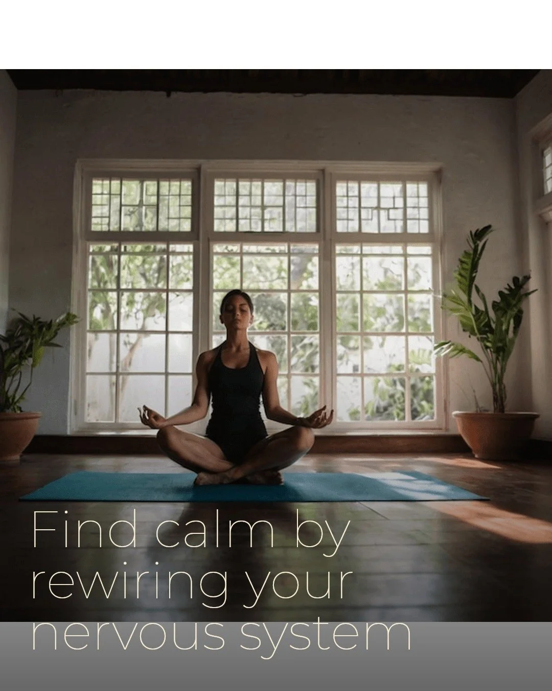 "Peace comes from within." 

Our clients often share how mindfulness and meditation have gently rewired their nervous systems, bringing calm where there was once chaos. One client noticed her racing heart slow after just a few weeks of prac