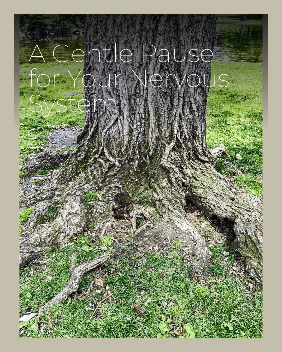 Feeling overwhelmed by stress right now?

Try this simple grounding practice to bring yourself back to the present:

&bull; Place a hand on your chest and belly.
&bull; Breathe slowly for one full minute.
&bull; Soften your jaw, shoulders, and belly.