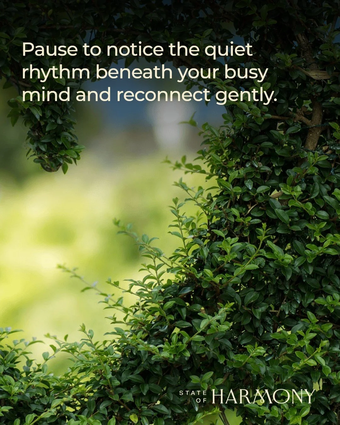 When was the last time you truly felt your breath&hellip; in your heart?

In our weekly Wednesday meditation,
this is what we explored together&hellip;

A gentle practice of slowing the breath&hellip;
and bringing awareness into the heart space.

So 