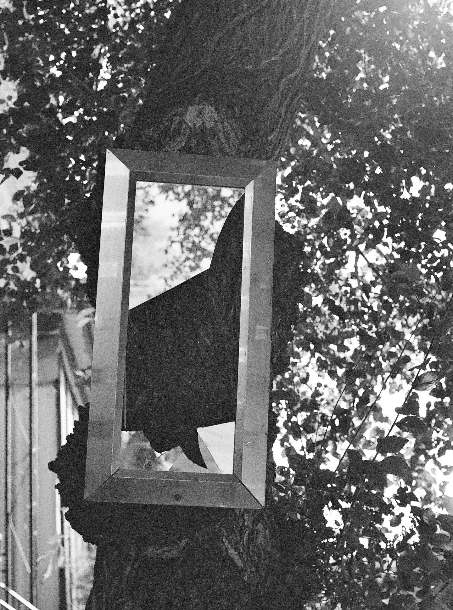 The portrait shots! I love the one with the broken tree mirror.

#fılmphotography