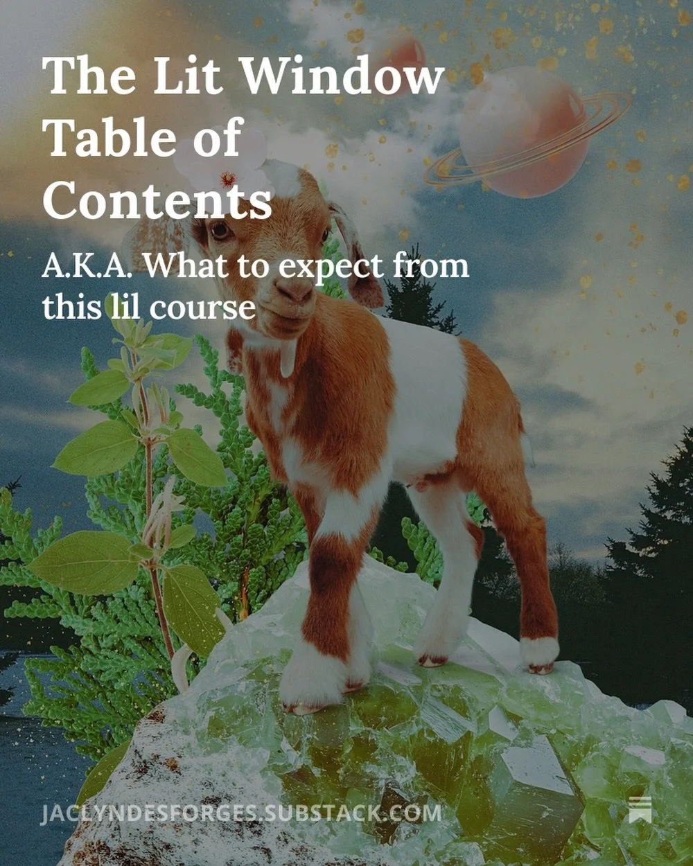 The Table of Contents is now available for Lit Window, the free creative writing course I&rsquo;m running via Substack. Hope to see you there! 

#creativewriting #howtowrite #freewritingclass #writewithme #litwindow
