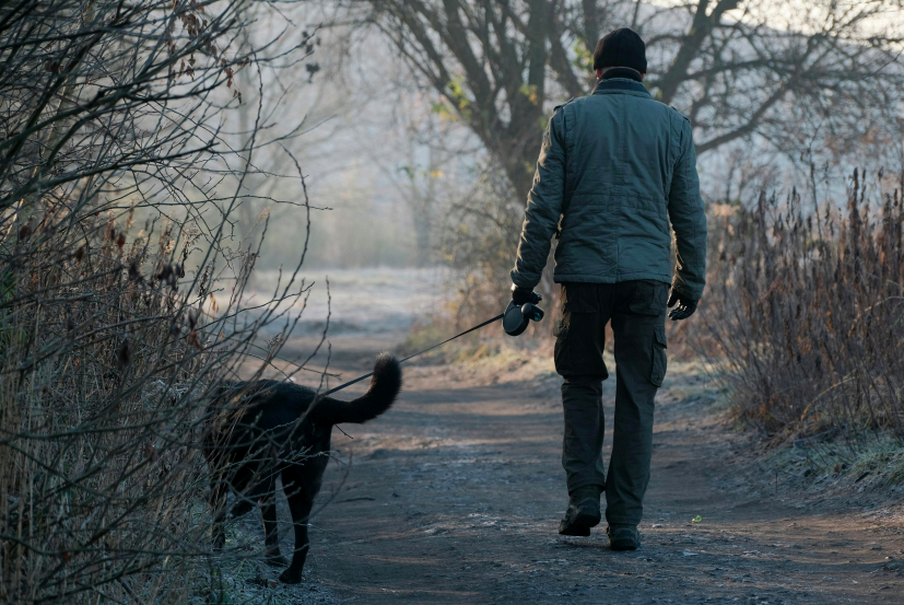 Image of a man going on a gentle stroll with his dog an example of movement to improve circulation without over doing it.
