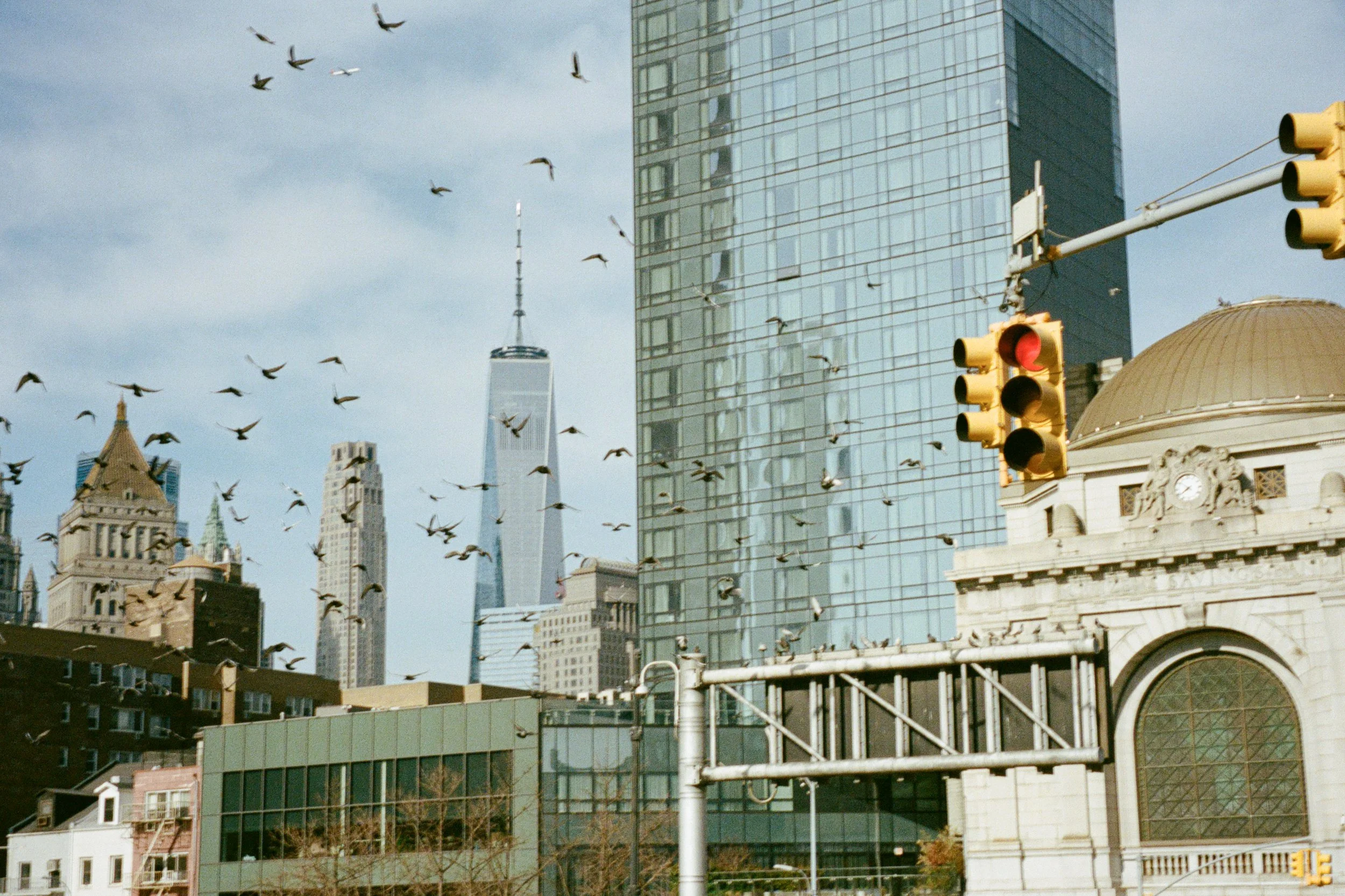 Portra400-OlympusMjuii-NYC-March2026-5.jpg