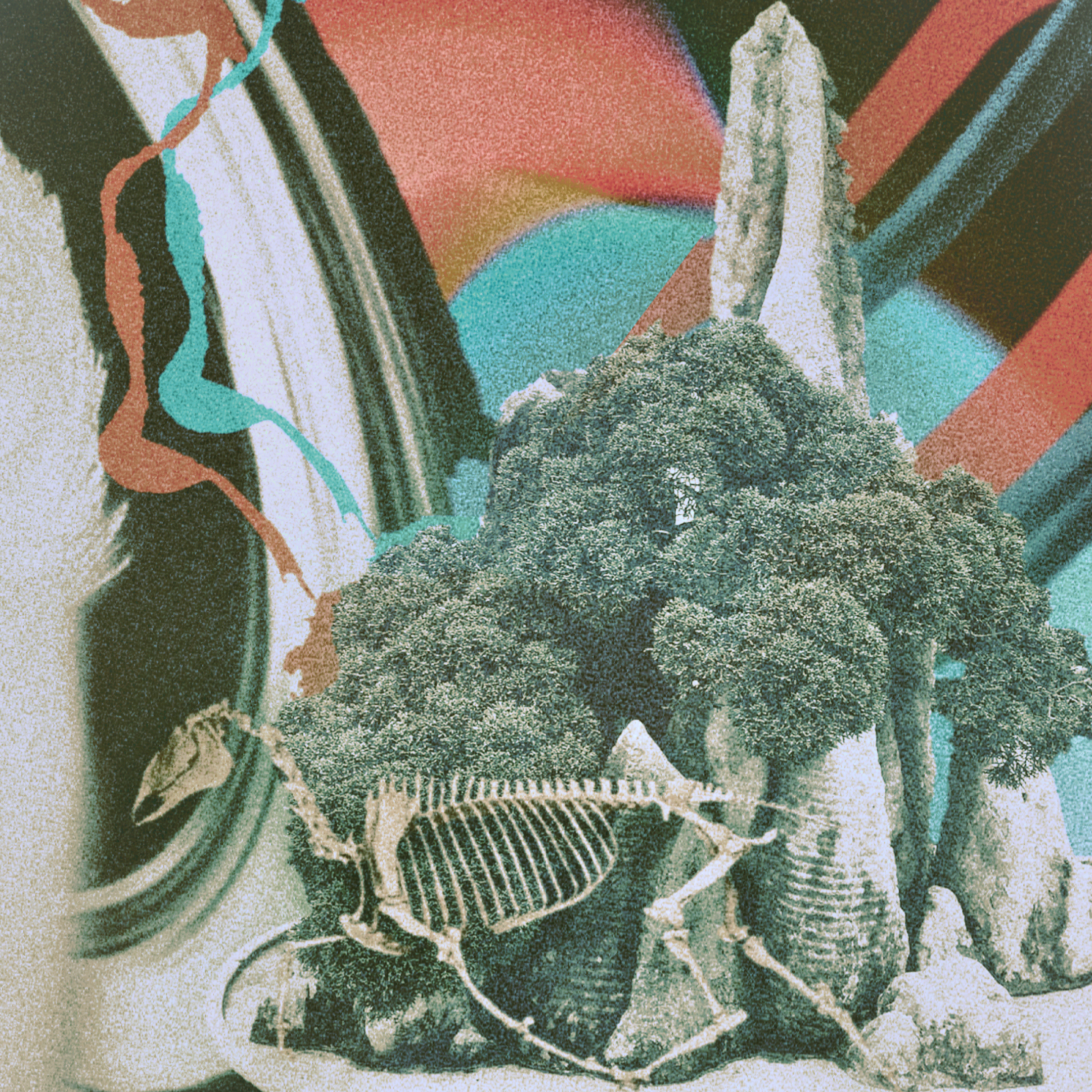 processed_bcc0e9c0d5054be7ad4075c14aab1145.jpeg