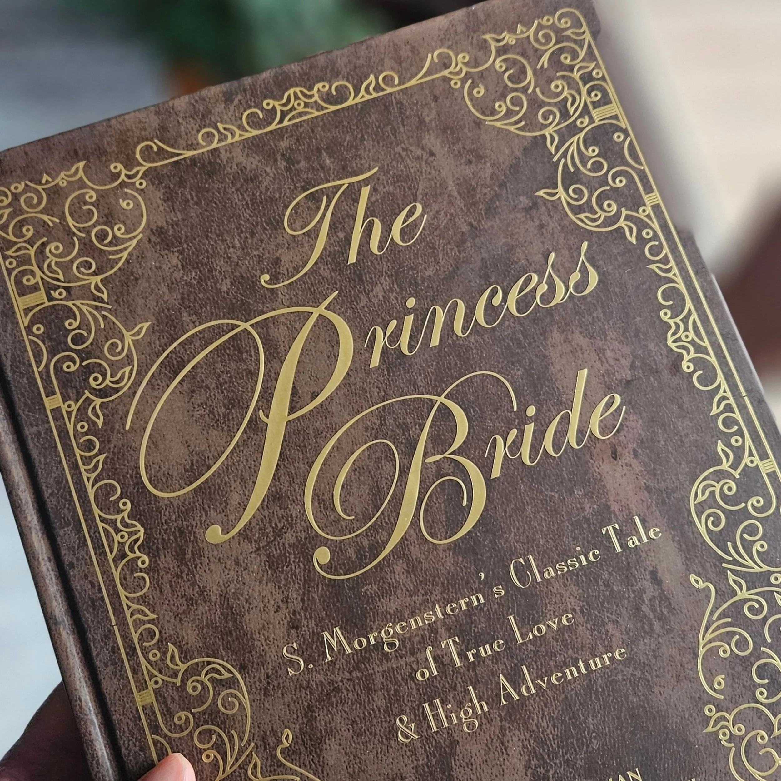Speechless.

That&rsquo;s the mark of great gifting.

I LOVE The Princess Bride, and I just came home to find the most thoughtful surprise waiting for me. 

The fact that my friend remembered something I love and took the time to turn it into a momen