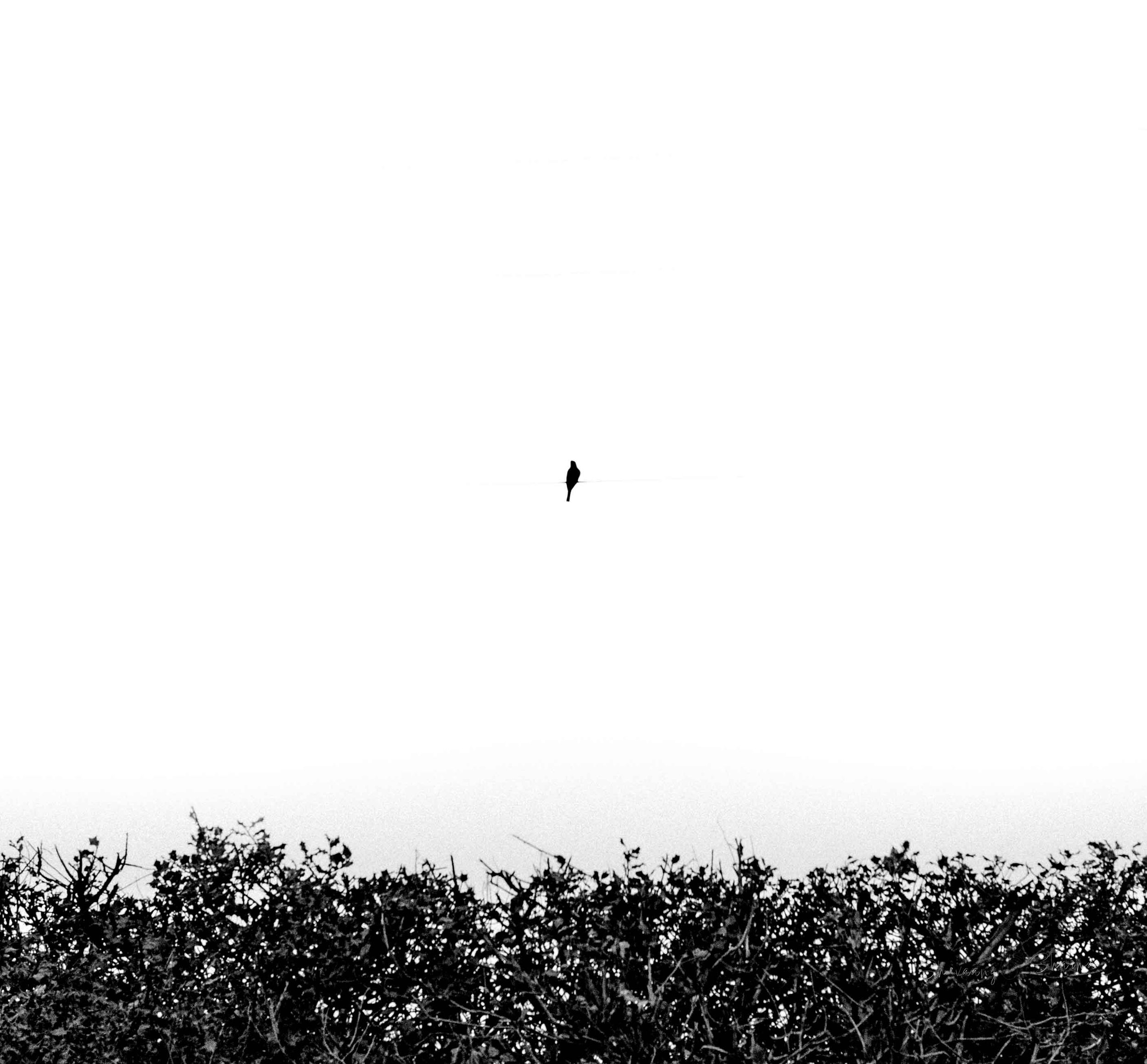SNS_1826.jpg
