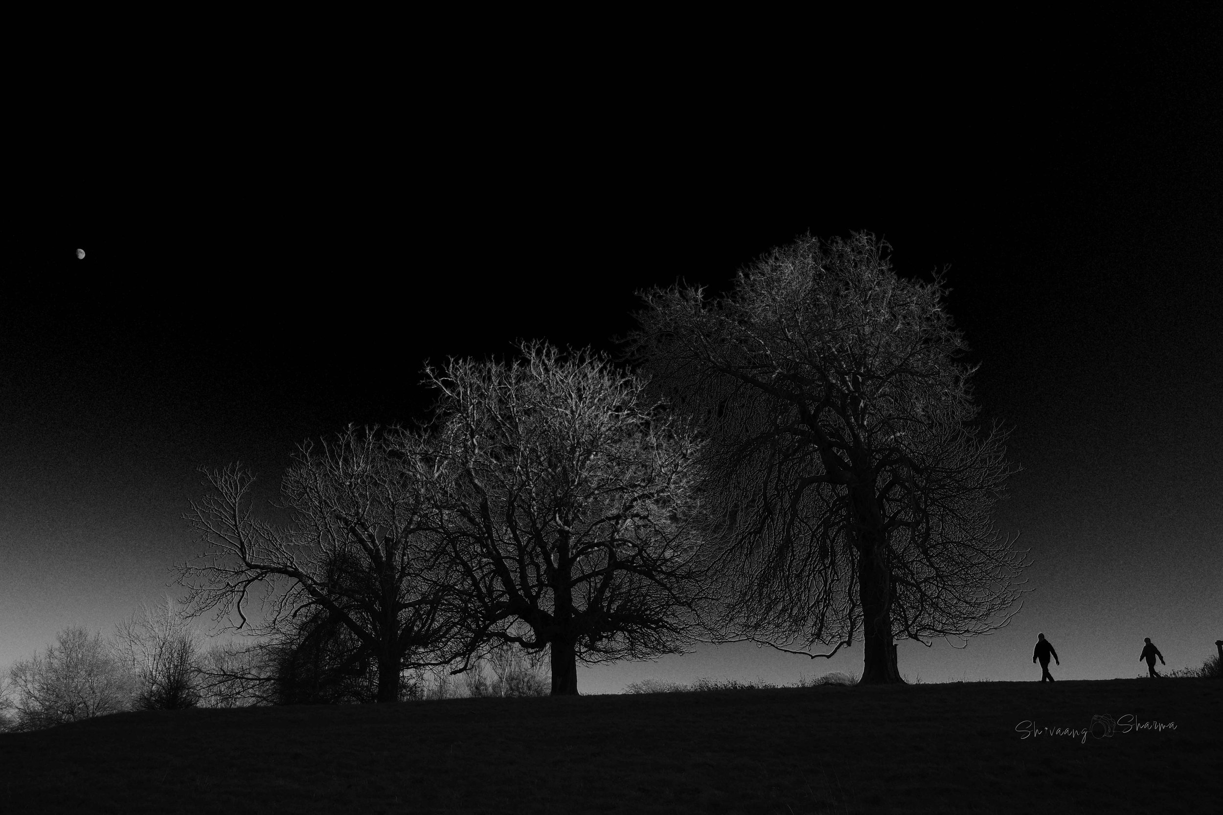 R0000437.jpg