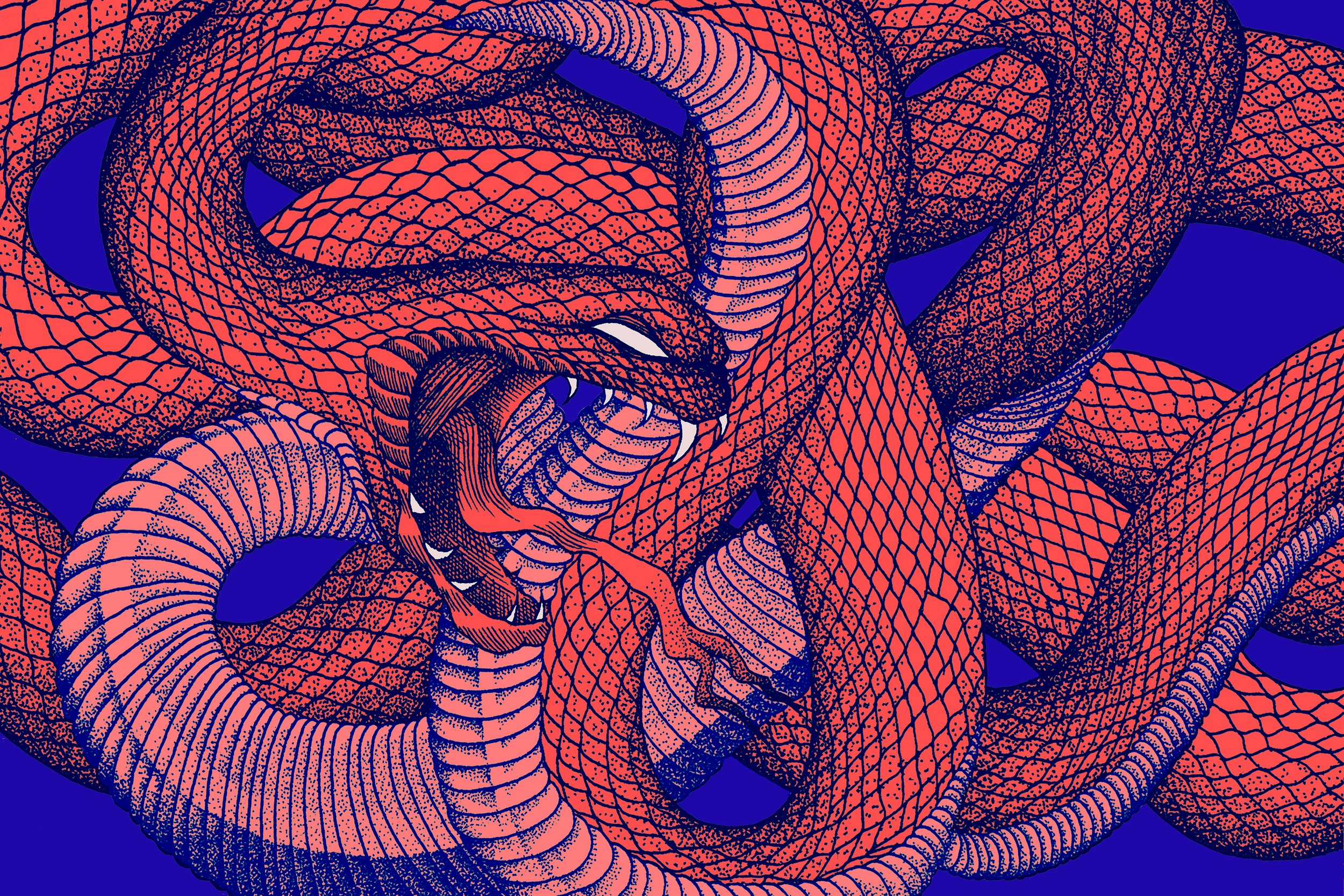 00-snake print base copy web.jpg