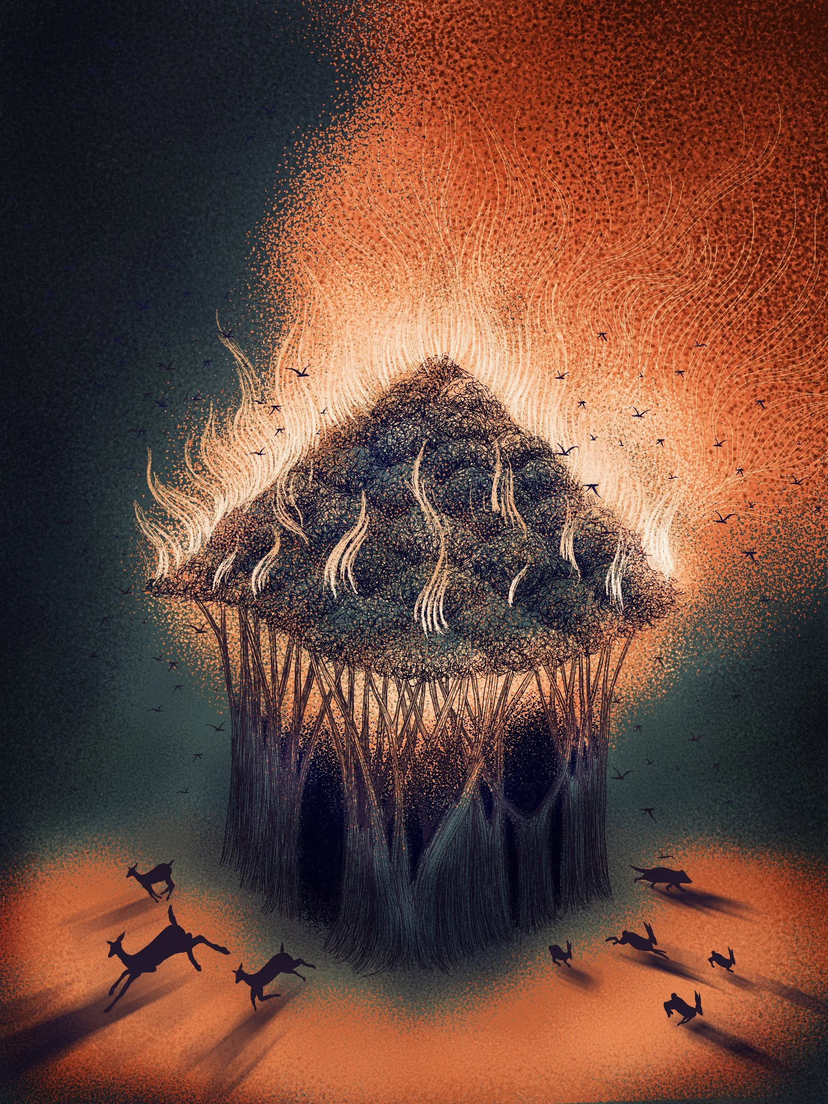 Fires in Guatemala, Editorial Illustration
