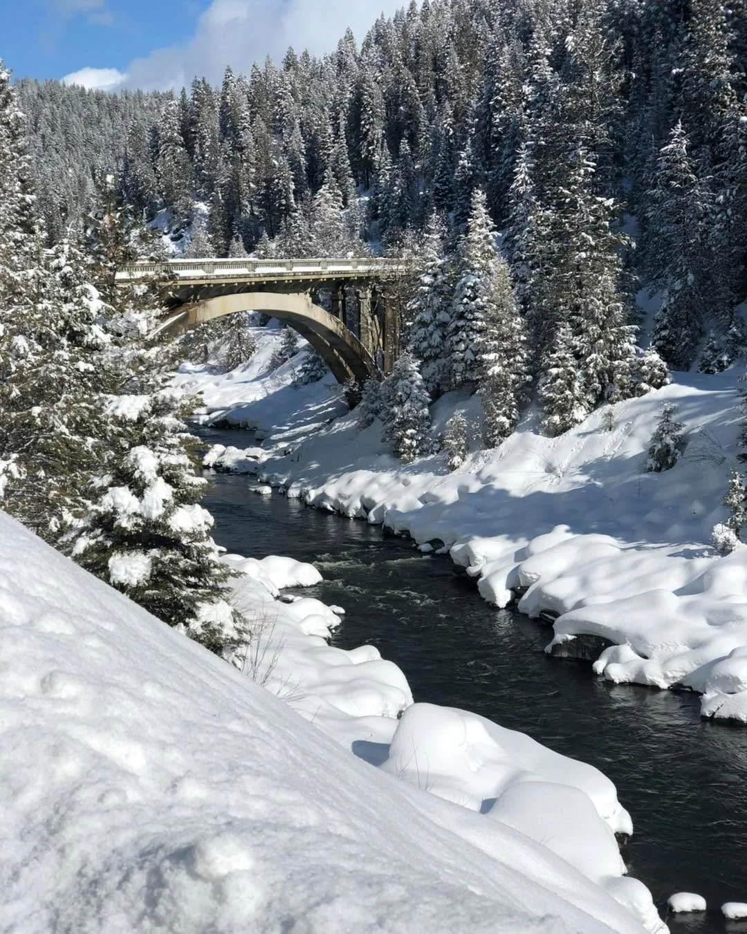 Ice edges the banks and cold air settles over the river. Beneath the surface, fish find refuge in deep pockets, waiting out winter, just as rivers have always done.

At RIVHAB, this quiet season is a reminder that restoration is about patience, resil