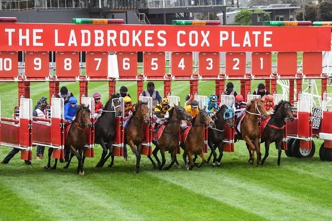 Cox Plate 