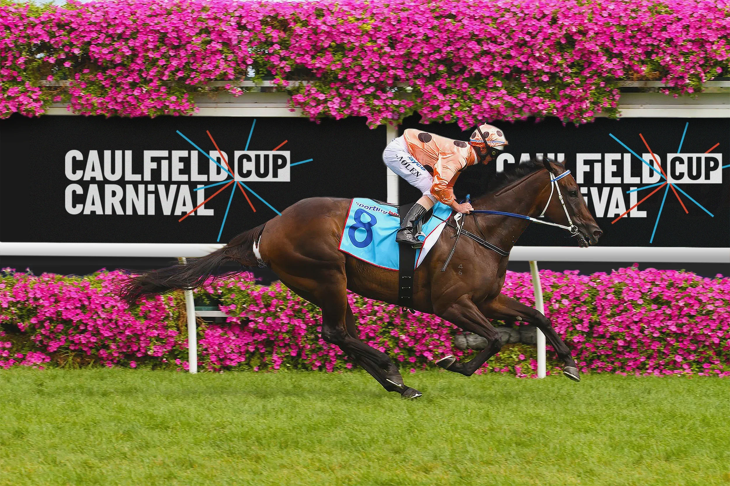 Caulfield Cup