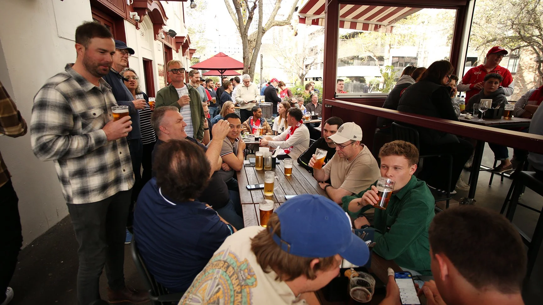 swans outside pod 2.jpg