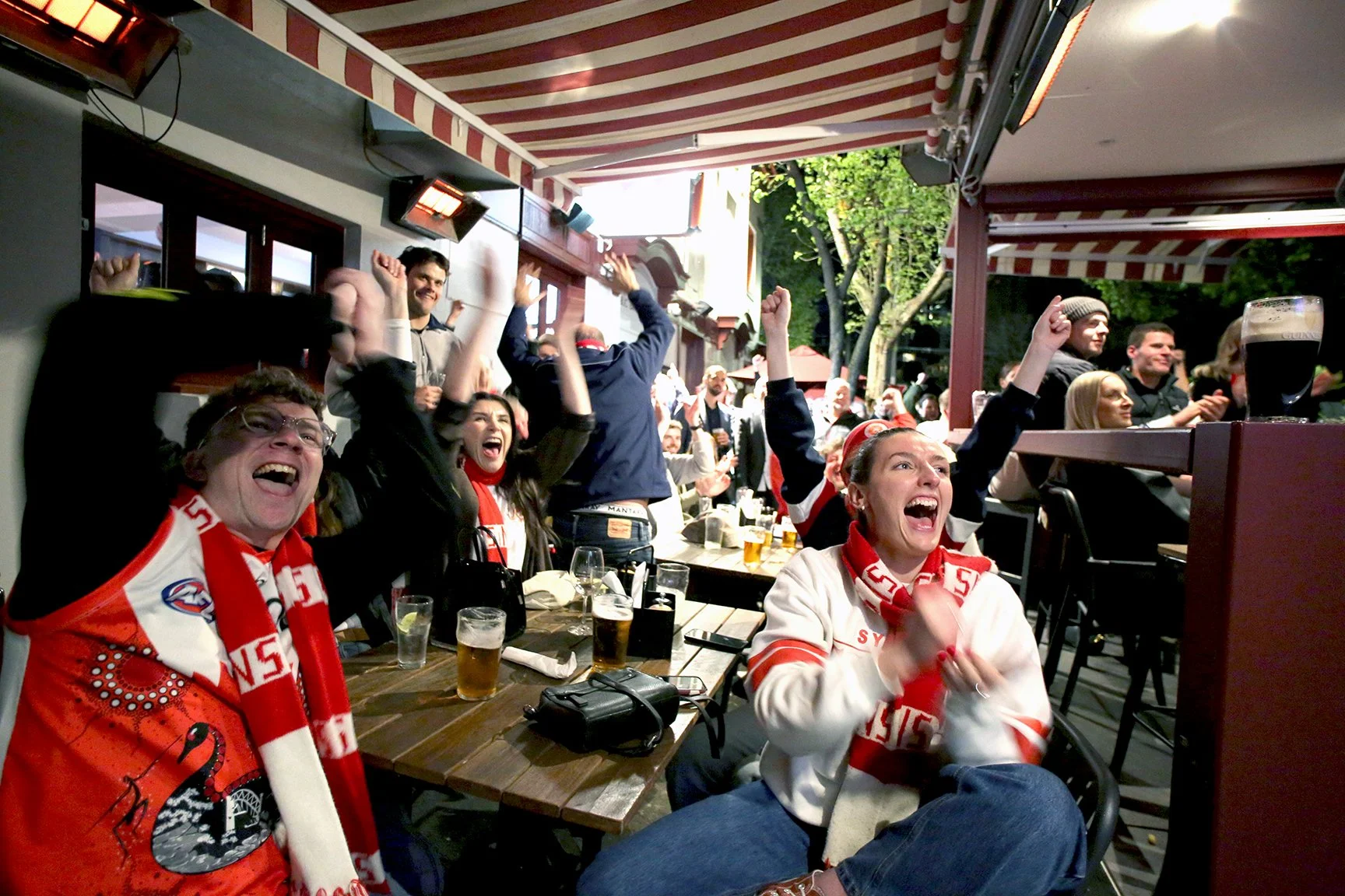 swans chearing outside.jpg