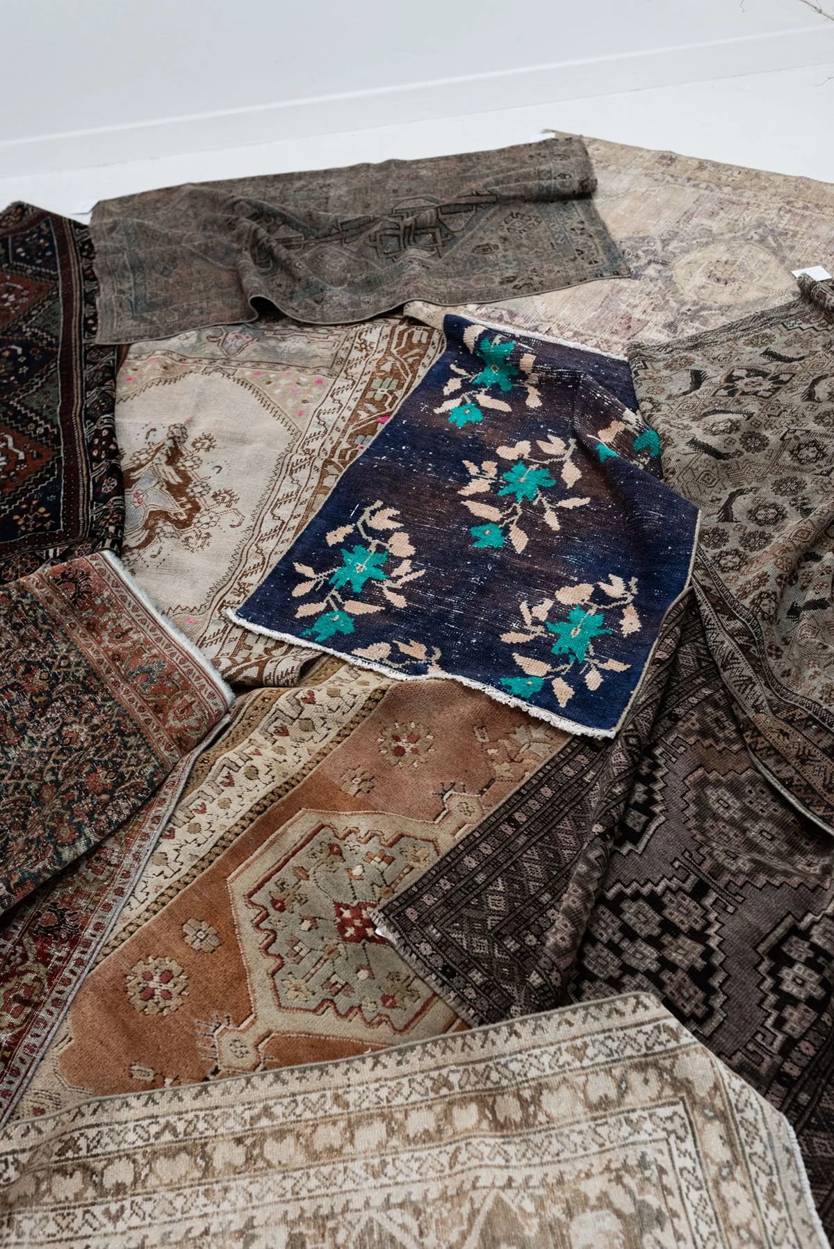 AMS_9325 - Curio Rugs.jpg