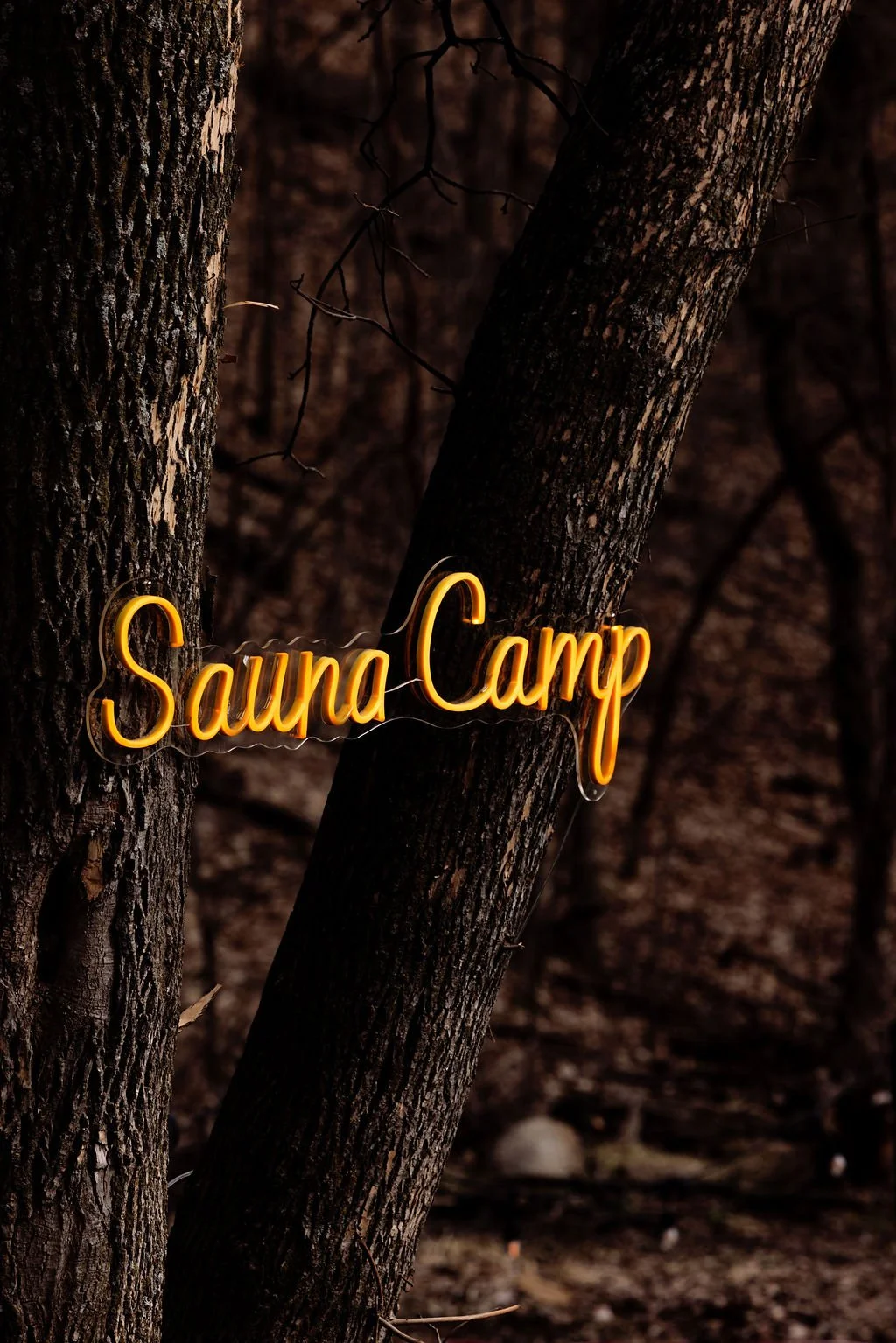 Live at Suana Camp 04.jpg