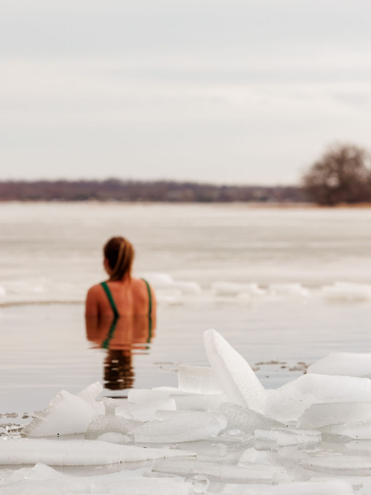 Sauna-Camp-Curious-Builder (13).png