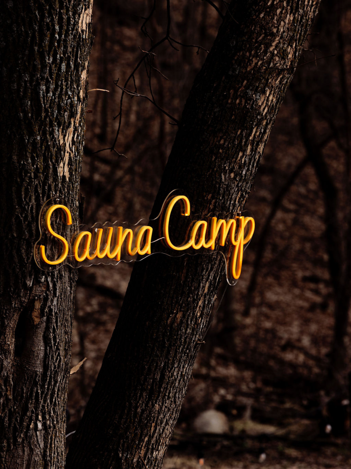 Sauna-Camp-Curious-Builder (6).png