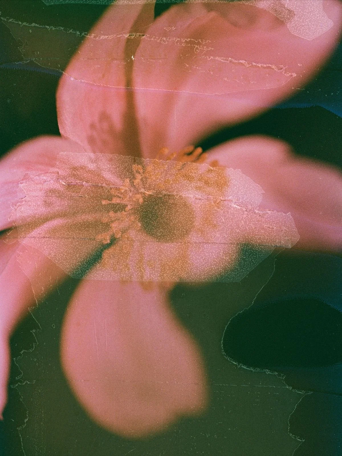 The chronic over-explainer