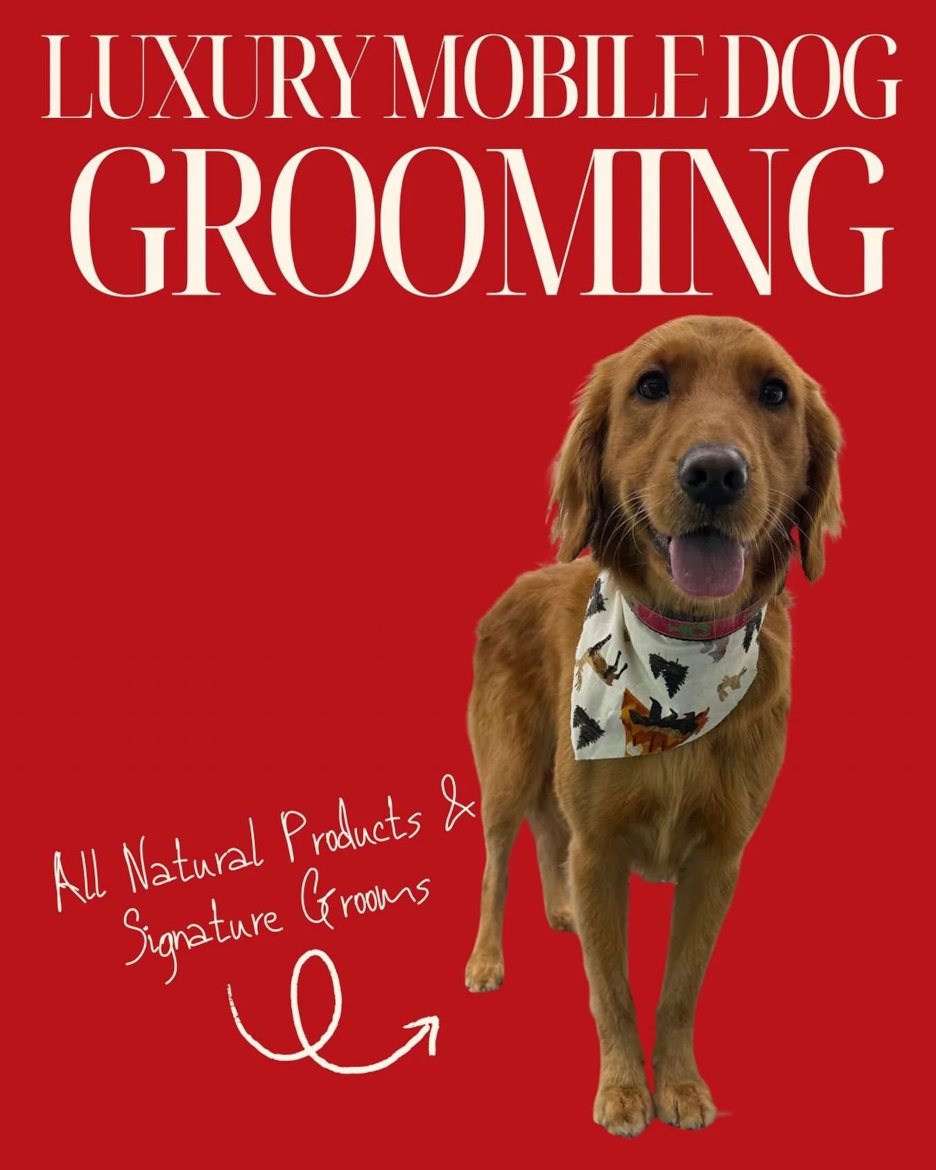 Serving looks AND luxury 🐾✨

Your pup deserves the VIP treatment&mdash;right at your doorstep. 🚐💨
All-natural products, signature grooms, and stress-free pampering your dog will actually enjoy.

Book your next groom with Groomer Gal On The Go and 