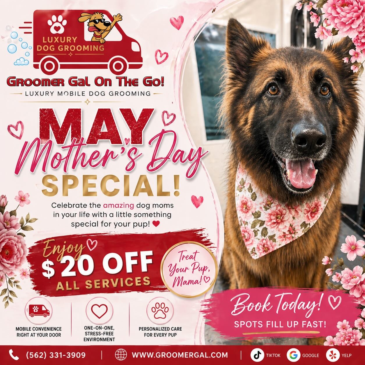 🌸✨ MAY SPECIAL ✨🌸
with Groomer Gal On The Go 🐶✂️

Fresh season, fresh pups 💕
This May, give your fur baby the glow-up they deserve!

💖 May Offer:
Enjoy $20 OFF all services

Because your pup deserves to look and feel their best without you break