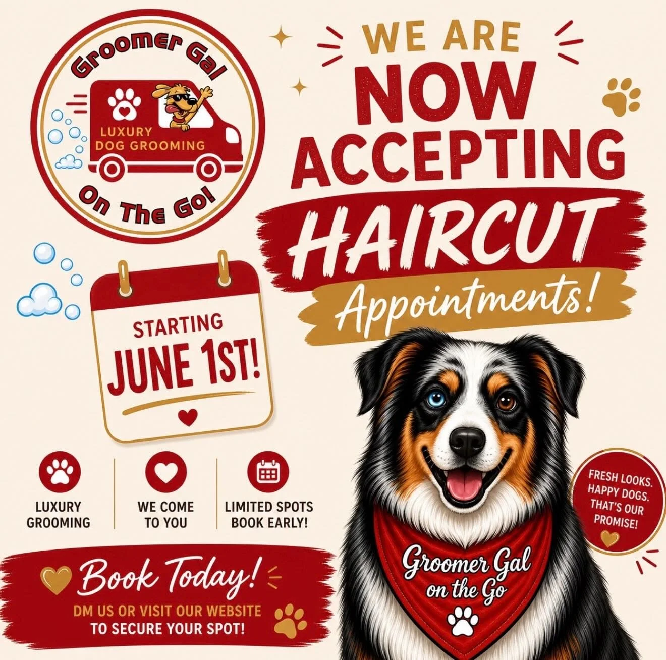 ✂️🐾 Groomer Gal On The Go is now accepting haircut appointments starting June 1st! ❤️

Luxury grooming brought straight to your doorstep because your pup deserves to look and feel their best 🛁✨ Spots are limited, so be sure to book early!

📅 Start