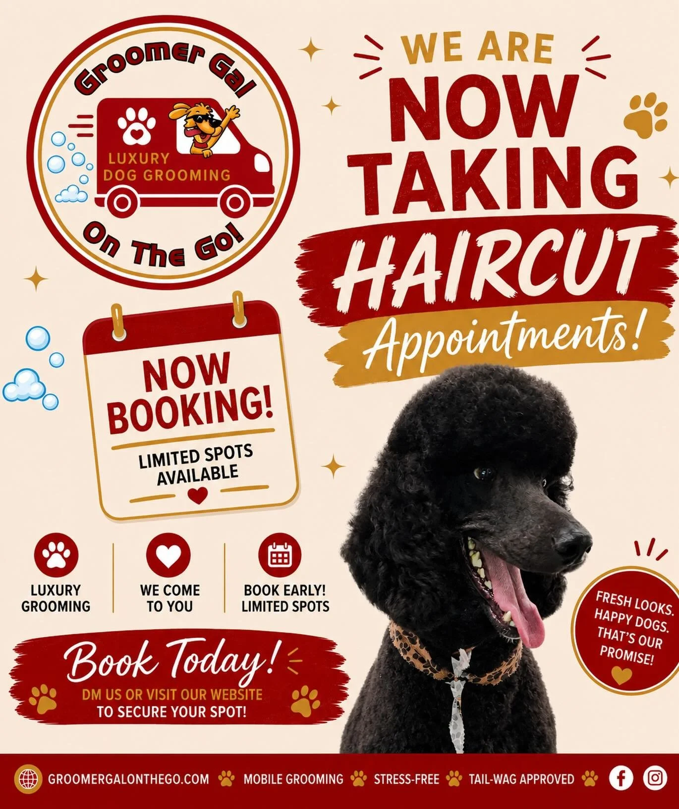 ✂️🐩 Fresh cut, fresh confidence! 🐩✂️

This handsome Standard Poodle is looking sharp after his spa day with Groomer Gal On The Go! From baths to breed-specific haircuts, we bring professional, stress-free grooming right to your doorstep.

Appointme