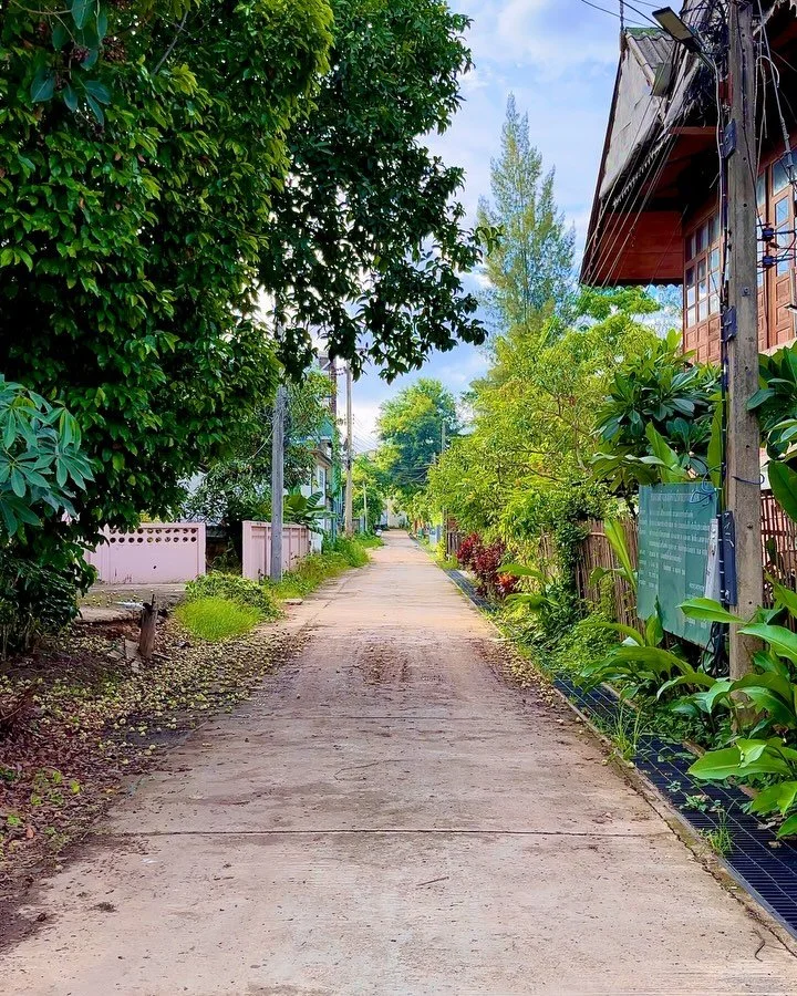 northern thailand | chiang mai &amp; pai | july 2024.

#thailand #chiangmai #pai #nature #sunset #people #peopleinframe #night #urban #summer #streetlife #photography #iphone #shotoniphone #travel #travelphotography #videography #aesthetic #streetpho