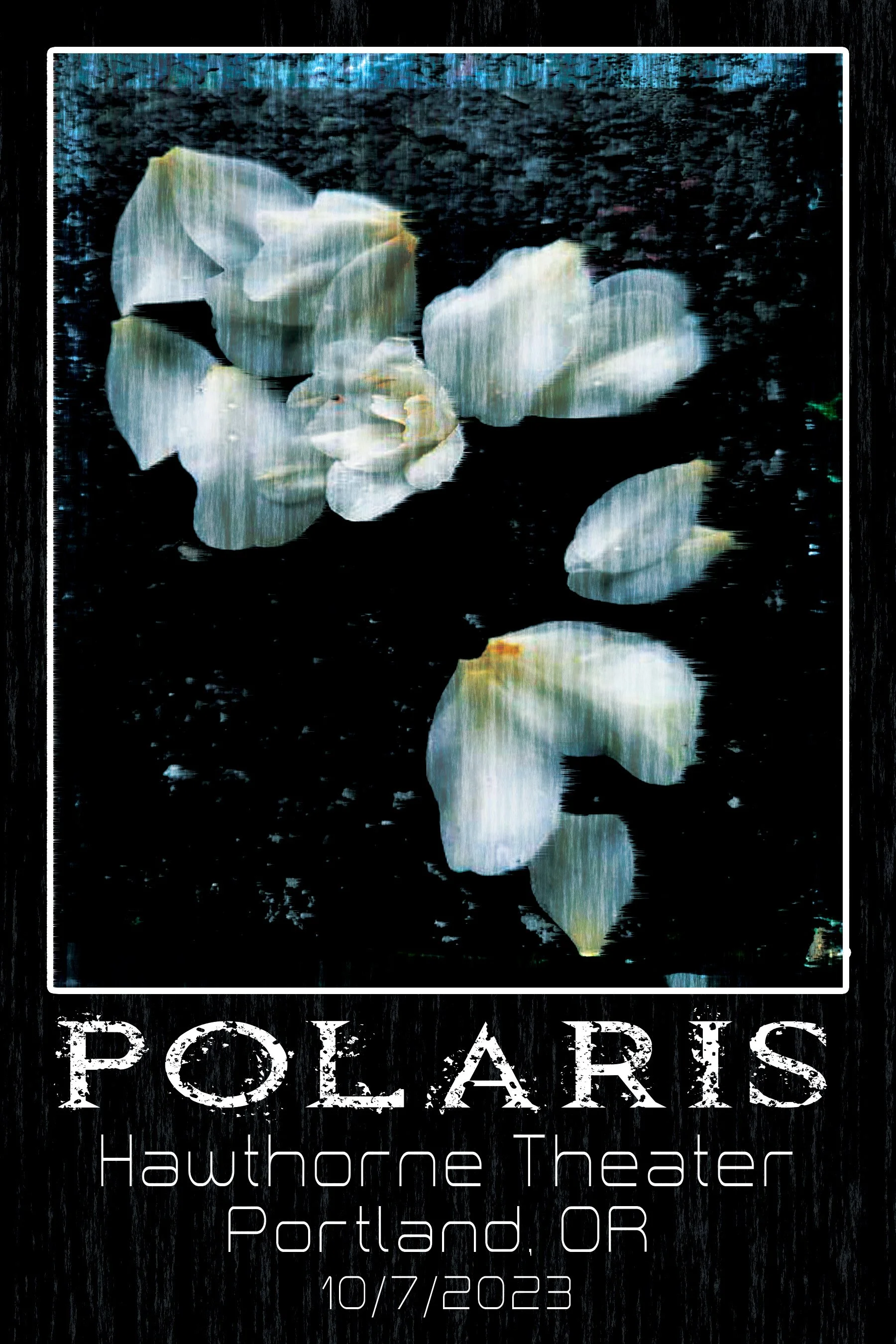 Polaris poster (12 x 18).jpg