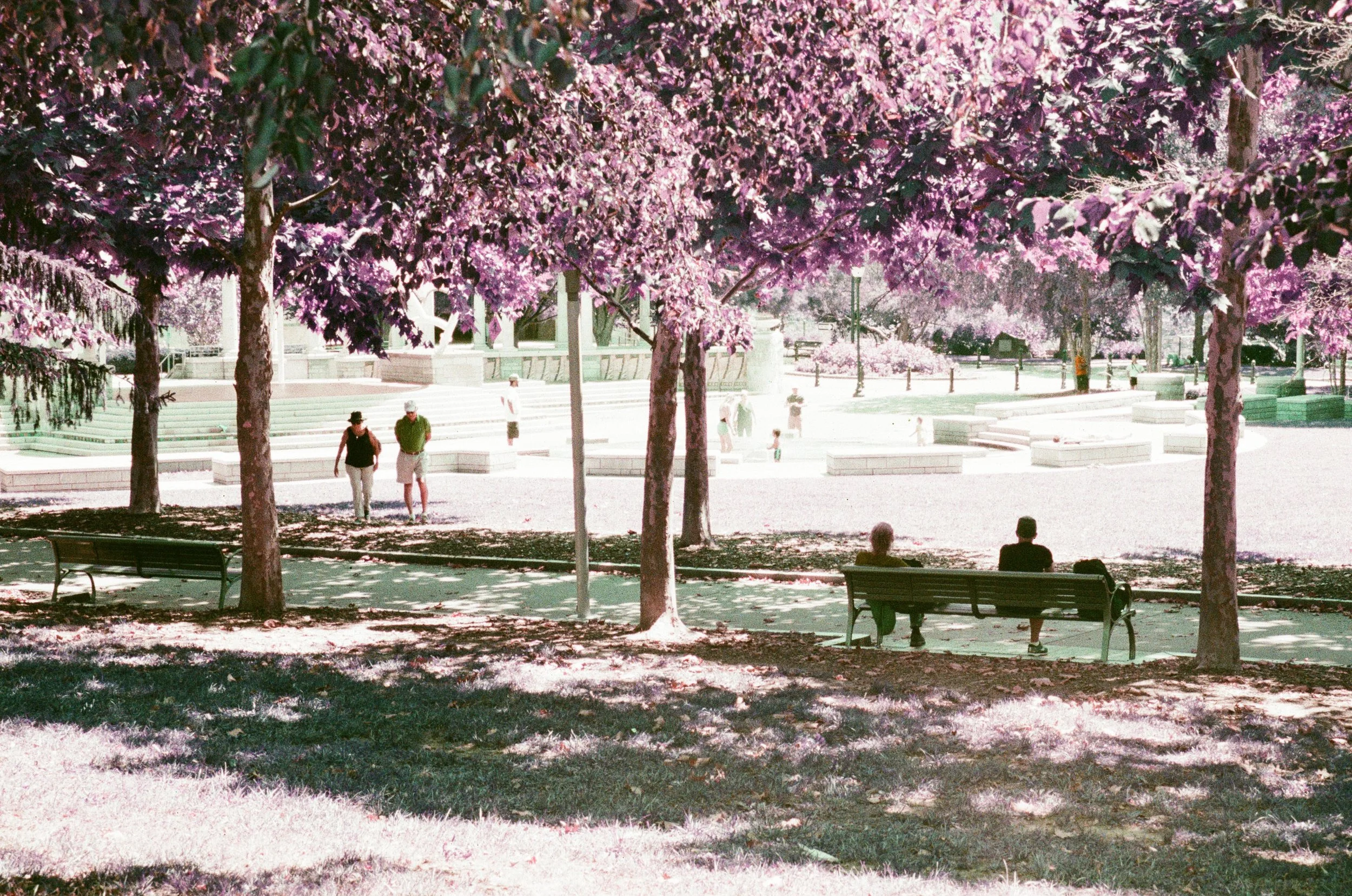 LomoChrome-24.jpg