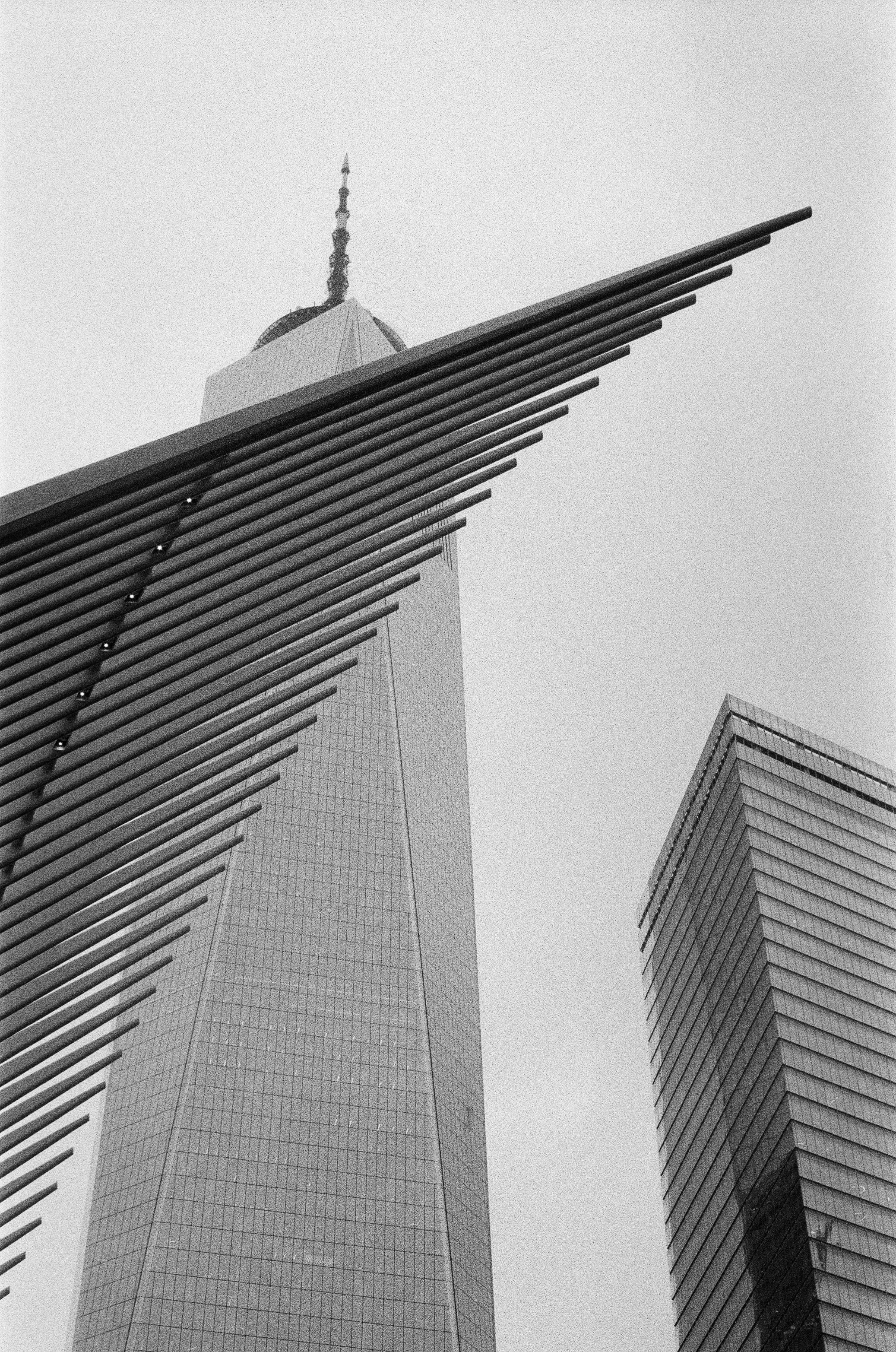HP5-19.jpg