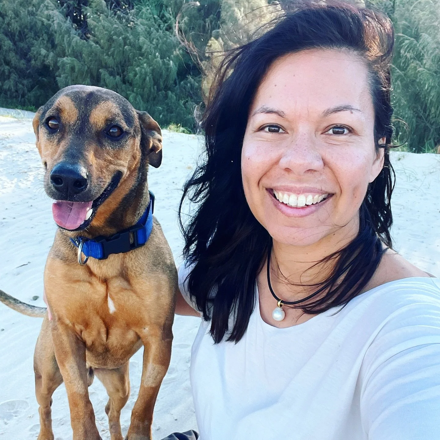 I remember reading the Broome Advertiser one day and seeing this gorgeous dog with the happiest smile, who needed a foster carer  urgently. 
Chris and I decided to take him in for a couple weeks. That was 13 years ago.
We’ve been blessed to c