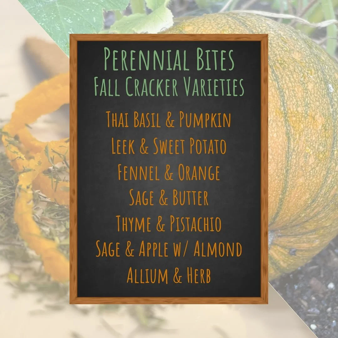 🍂 Fall cracker lineup is here 🍂

These are the varieties I&rsquo;ll be rolling with over the next couple months, including some old favorites and some newer ones that hopefully become favorites. Which new one are you most excited about?