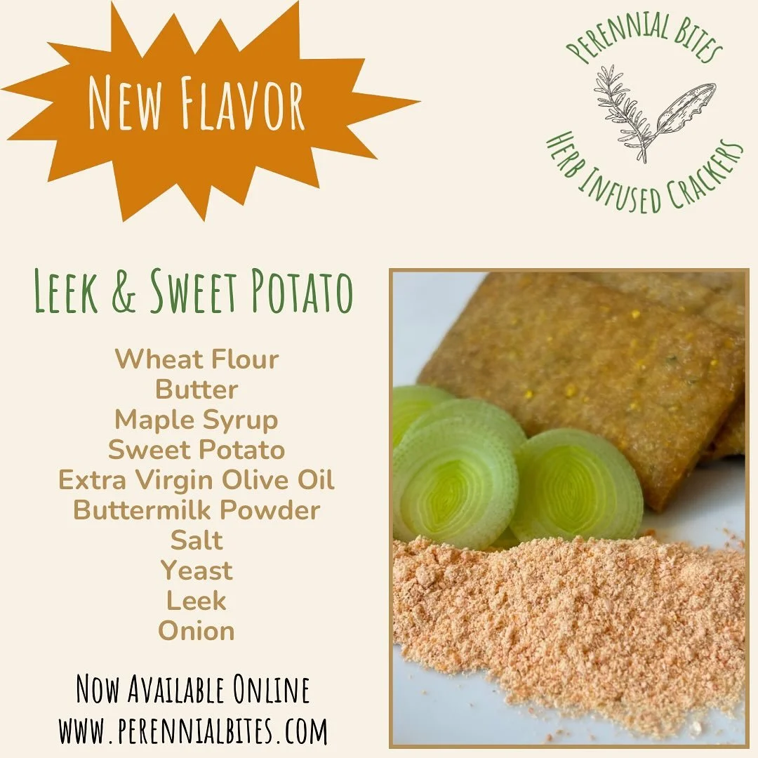 New flavor spotlight: Leek &amp; Sweet Potato 

This one came together pretty quickly once I realized that dehydrated leeks have amazing flavor. I combined this onion flavor with some sweet potato and butter/buttermilk to create a really rich cracker