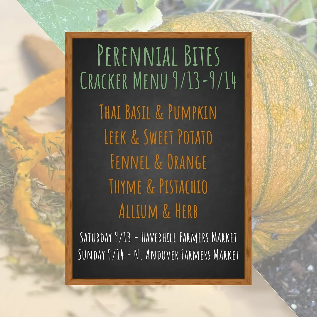 Which one are you buying first?