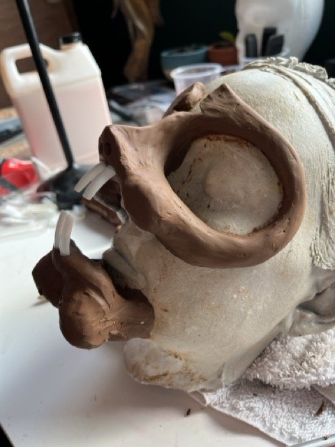 Spud profile Medium.jpeg