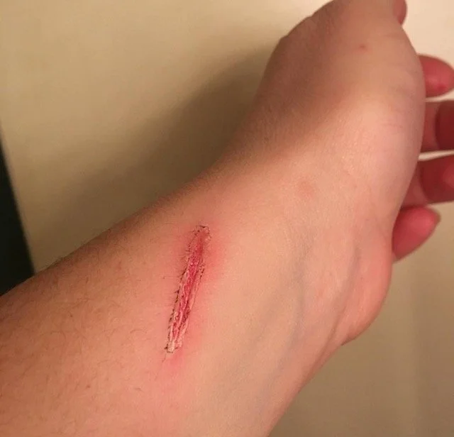 Screenshot 2025-02-13 at 4.54.33 PM Medium.jpeg