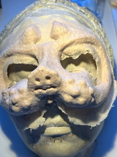 SPUD mask Medium.jpeg