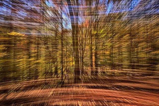 Library - 2 of 3.jpeg