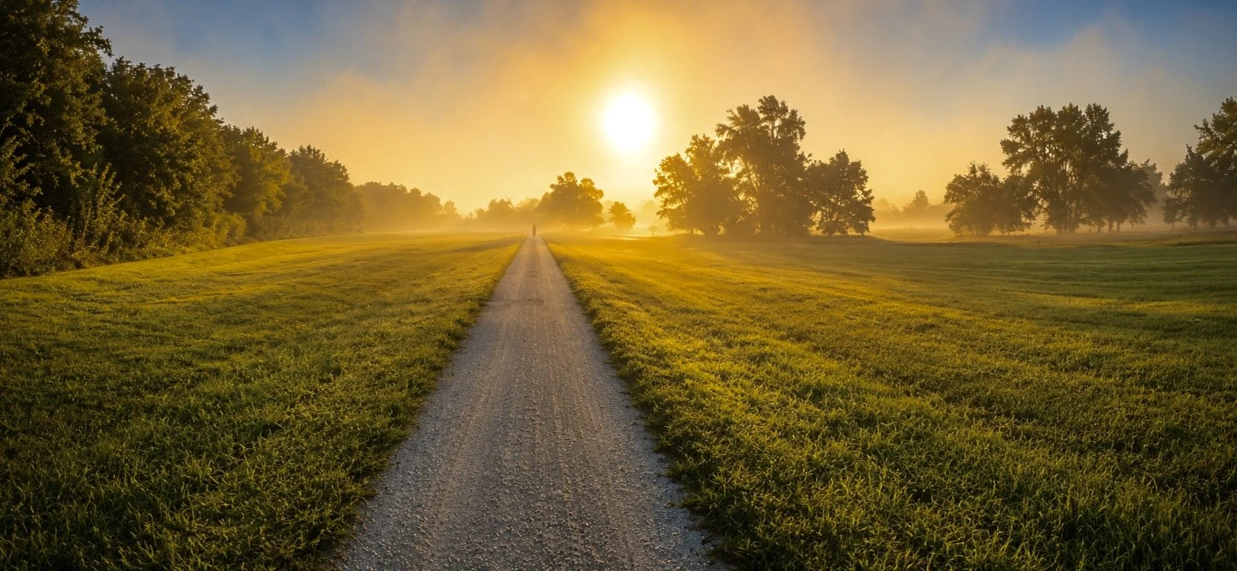 Curiosity Changes the Journey