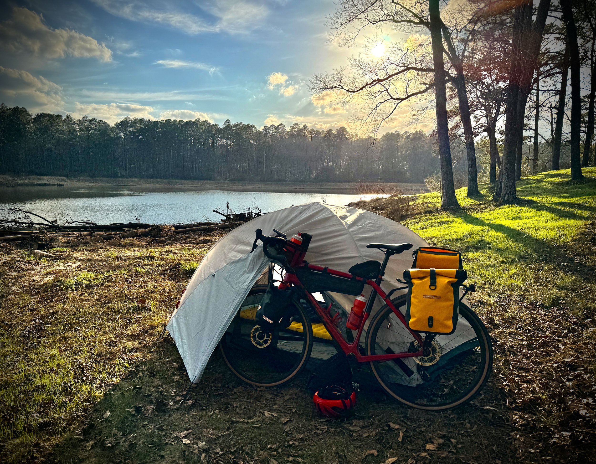 Library - 4 of 6.jpeg