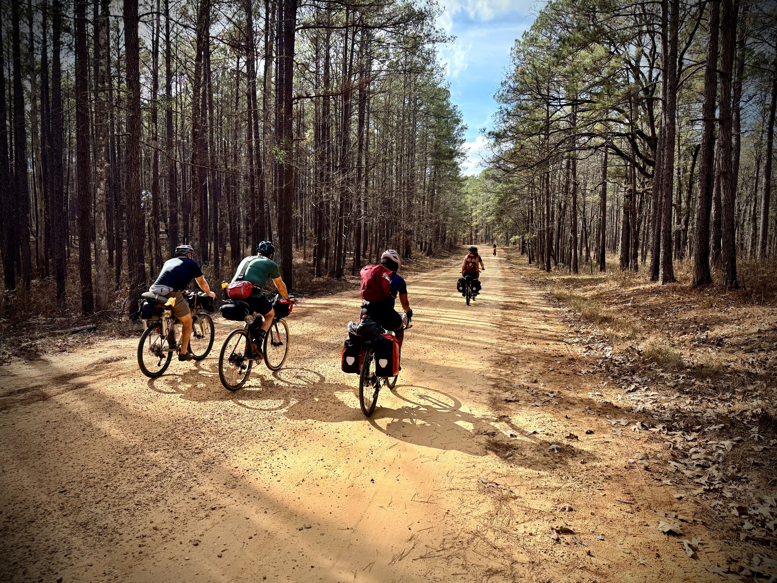 Library - 1 of 6.jpeg