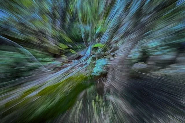 Library - 1 of 3.jpeg